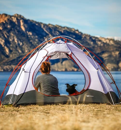 Experience / Gallery Camp 1